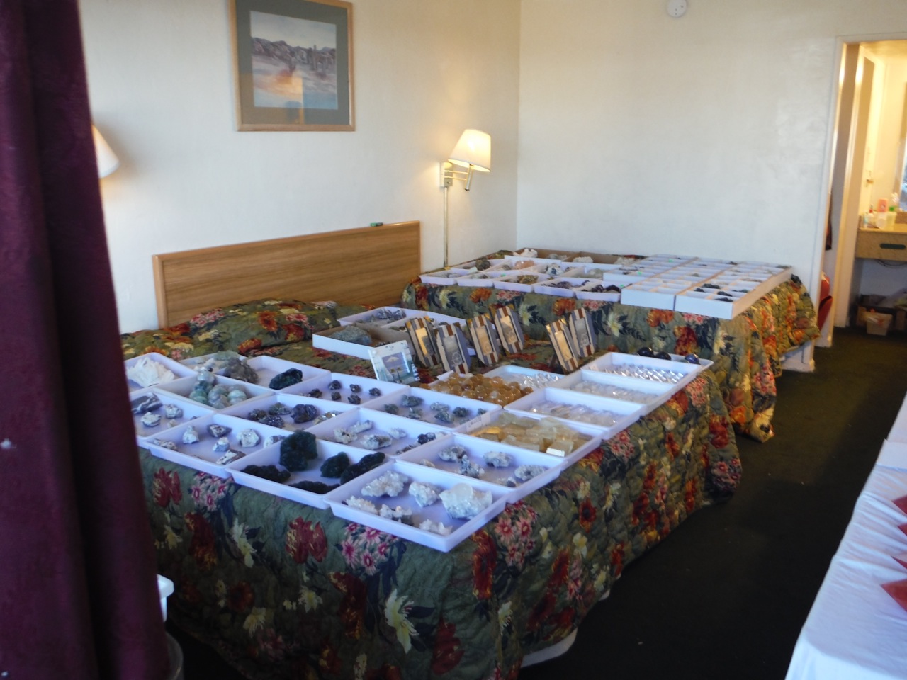 Hotel Showroom in Tucson Gem Event
