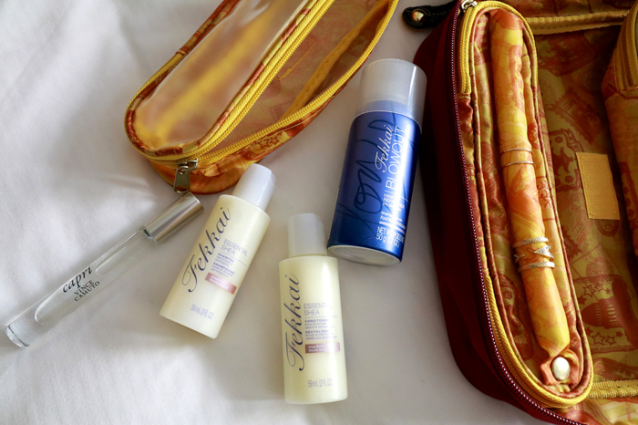 HSN_Audrey Adair-Keene_Holiday Travel_Carry-On_Fekkai Vince Camuto Liquids.jpg